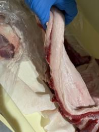 ޥХ顡1115gk2510-06N