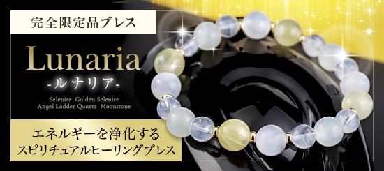 気内臓療法(ヒーリング・タオ) 気内臓療法 ☆ 謝 明徳 =マンタクチャ= 著 ☆ ヒーリングタオ