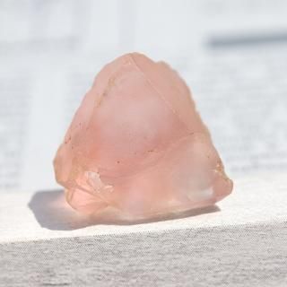 Ķ꺤񡪥ե󥹡֥󻺥ԥ󥯥ե饤ȸ-005