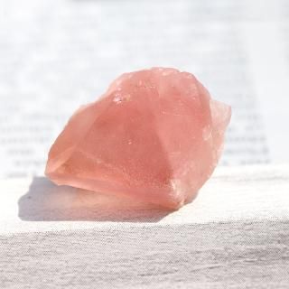 Ķ꺤񡪥ե󥹡֥󻺥ԥ󥯥ե饤ȸ-003