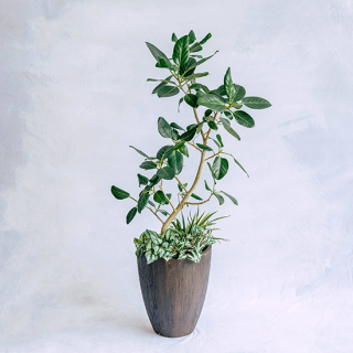 ޤտʪե<br>M140160cm