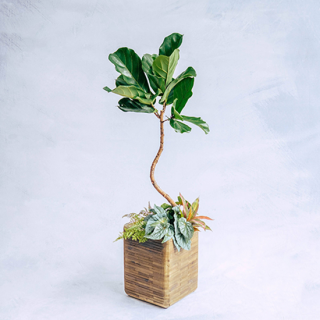 ޤտʪե<br>S130140cm