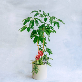 ޤտʪե<br>L160180cm