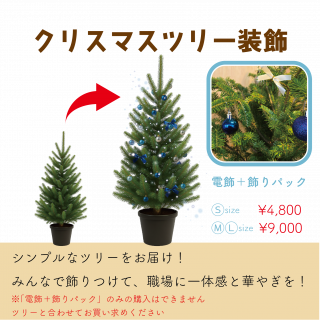 žʥȡʥꥹޥĥ꡼Τߡ