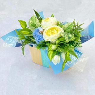 ꥸʥ륢ƥեեե ֥롼<br>XS30cm