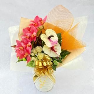 ꥸʥ륢ƥեեեȡ󥹥ꥦ<br>S7090cm