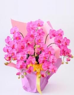 造花(光触媒)の格安胡蝶蘭のギフト通販・全国配送ご予約なら