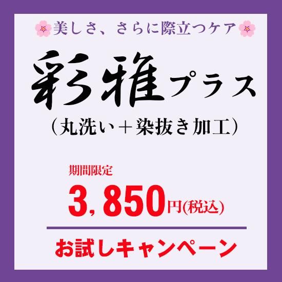 ̲ץ饹+ȴˡڡ楫ƥ꡼