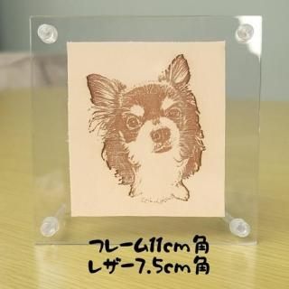 (󥰥إ)Υ쥶ȥե졼