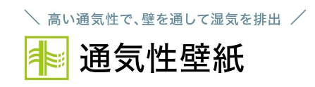 ܹ̿1
