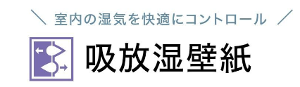 ܹ̿1