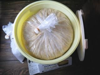 ̣ ݥî10kg