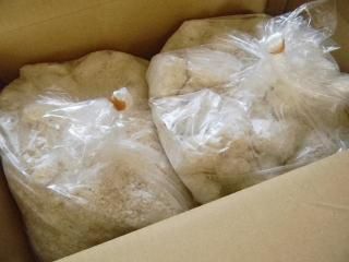 ƹ 5kg2ġ