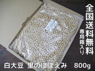 ΤΤۤۤ Ʀ800g̵