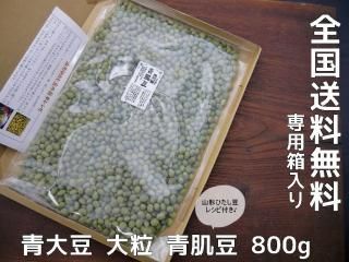 ȩƦ γ800gƦ ̵