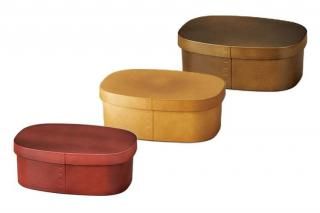 HAKOYA ää600 600ml Garden ݻͤξʲ