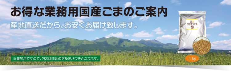 業務用国産すりごま
