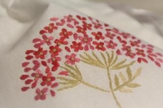 ٥ȥʥɽޡM  ϡǻԥ󥯡֡᡼زĢ