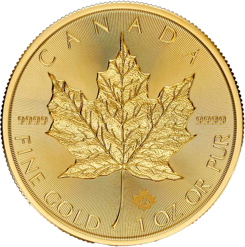 2025 ᥤץ꡼ ʥ  50ɥ  1 ̤  ϶ⷿ 3 (󥱡ʰȢ)<img class='new_mark_img2' src='https://img.shop-pro.jp/img/new/icons5.gif' style='border:none;display:inline;margin:0px;padding:0px;width:auto;' /> ΢