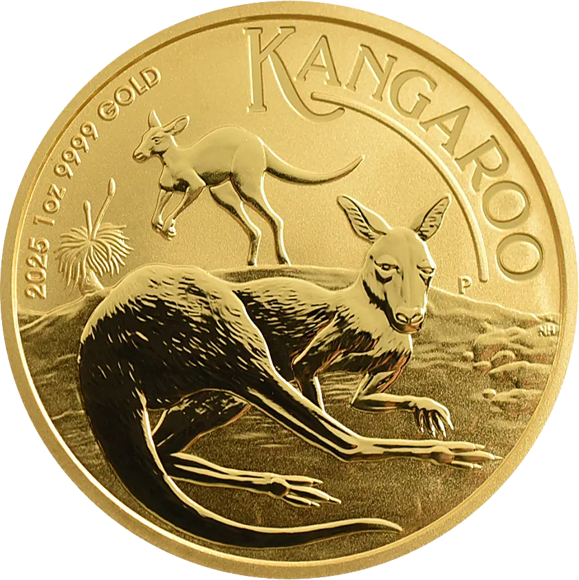 2025 󥬥롼 ȥꥢ  100ɥ 1 ̤ ϶ⷿ 3(󥱡ʰȢ)<img class='new_mark_img2' src='https://img.shop-pro.jp/img/new/icons5.gif' style='border:none;display:inline;margin:0px;padding:0px;width:auto;' /> ΢