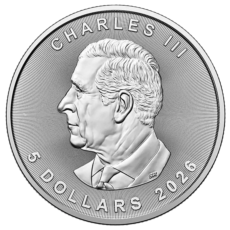 2026  �ᥤ�ץ�꡼�� ���ʥ�  5�ɥ�  1���� ����̤����    �϶ⷿ��� ��100��� �ʥ�������塼���ա�<img class='new_mark_img2' src='https://img.shop-pro.jp/img/new/icons5.gif' style='border:none;display:inline;margin:0px;padding:0px;width:auto;' /> ΢��