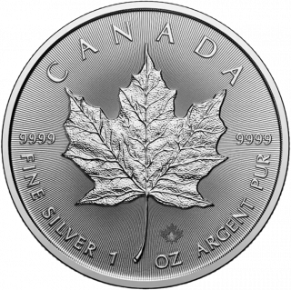 2026  �ᥤ�ץ�꡼�� ���ʥ�  5�ɥ�  1���� ����̤����    �϶ⷿ��� ��100��� �ʥ�������塼���ա�<img class='new_mark_img2' src='https://img.shop-pro.jp/img/new/icons5.gif' style='border:none;display:inline;margin:0px;padding:0px;width:auto;' />