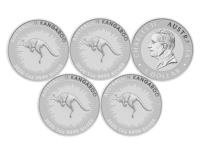 2026 ���󥬥롼 �������ȥ�ꥢ  1�ɥ� 1���� ����̤���� �϶ⷿ��� ��5��� (�����󥱡�����)<img class='new_mark_img2' src='https://img.shop-pro.jp/img/new/icons5.gif' style='border:none;display:inline;margin:0px;padding:0px;width:auto;' />