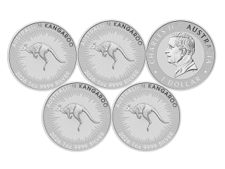 2026 ���󥬥롼 �������ȥ�ꥢ  1�ɥ� 1���� ����̤���� �϶ⷿ��� ��5��� (�����󥱡�����)<img class='new_mark_img2' src='https://img.shop-pro.jp/img/new/icons5.gif' style='border:none;display:inline;margin:0px;padding:0px;width:auto;' />