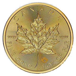 2026 ᥤץ꡼ ʥ  50ɥ  1 ̤  ϶ⷿ 1 (󥱡ʰȢ)<img class='new_mark_img2' src='https://img.shop-pro.jp/img/new/icons5.gif' style='border:none;display:inline;margin:0px;padding:0px;width:auto;' />