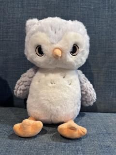 ڤ̤ߡۥƥǥߥߥ եȥ֥롼