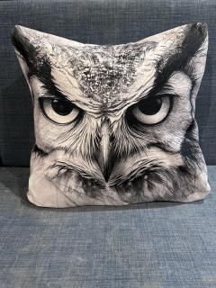 ڥå󥫥С45cm 亮ߥߥ