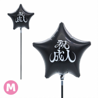 MVPƥåХ롼󥪥󥫥顼130mm -- ֥å Ŷ