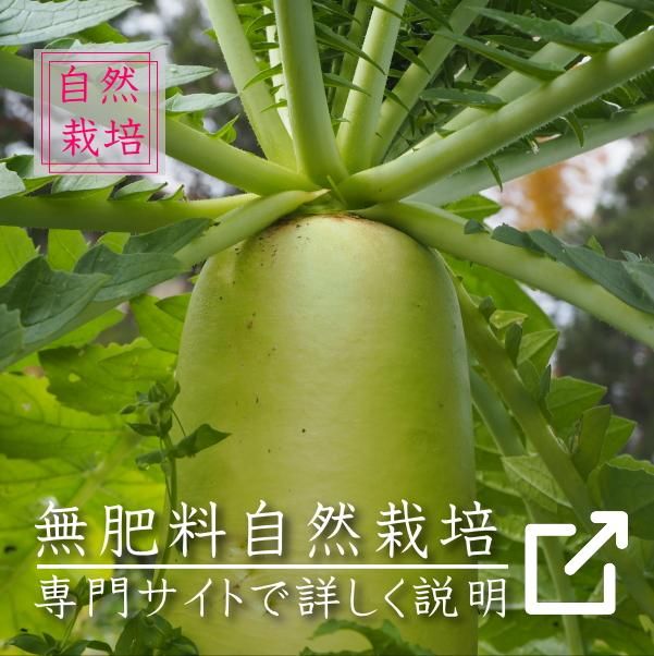̵ݤܤҲڡ