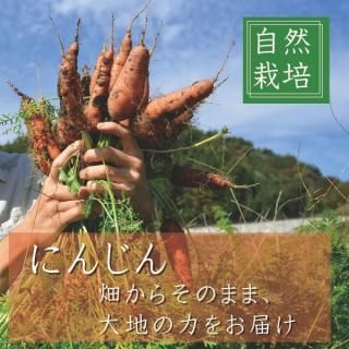 ݤˤ󤸤1ñ̡ʾֹ2006