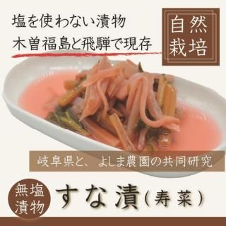 ʡ̵ȯڿʡ˸1202ޡ2026ǯ3ȯͽꡣĹϡ֤󤭡ס츩ϡ֤ʡפȸƤФ줿Ȥʤʪ