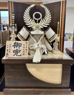 ڸ޷ͷ۱ʱѳ25͎ގގѳǼT-0176-110ۤξʲ