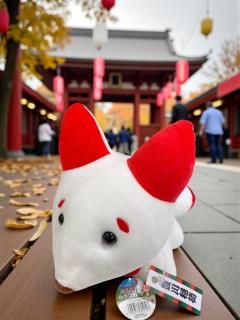 ˭١򥭥ĥͥޥåTTY-13ۤξʲ