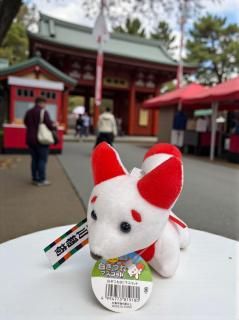 ˭١򥭥ĥͥޥåBCTTY-14ۤξʲ