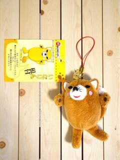 ˭١ۤʤߥˡTY-17ۤξʲ