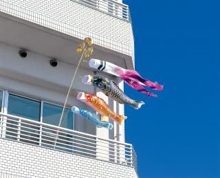 ڸΤܤۥ٥꡼ͥӥɥåȡKOI-2ۤξʲ