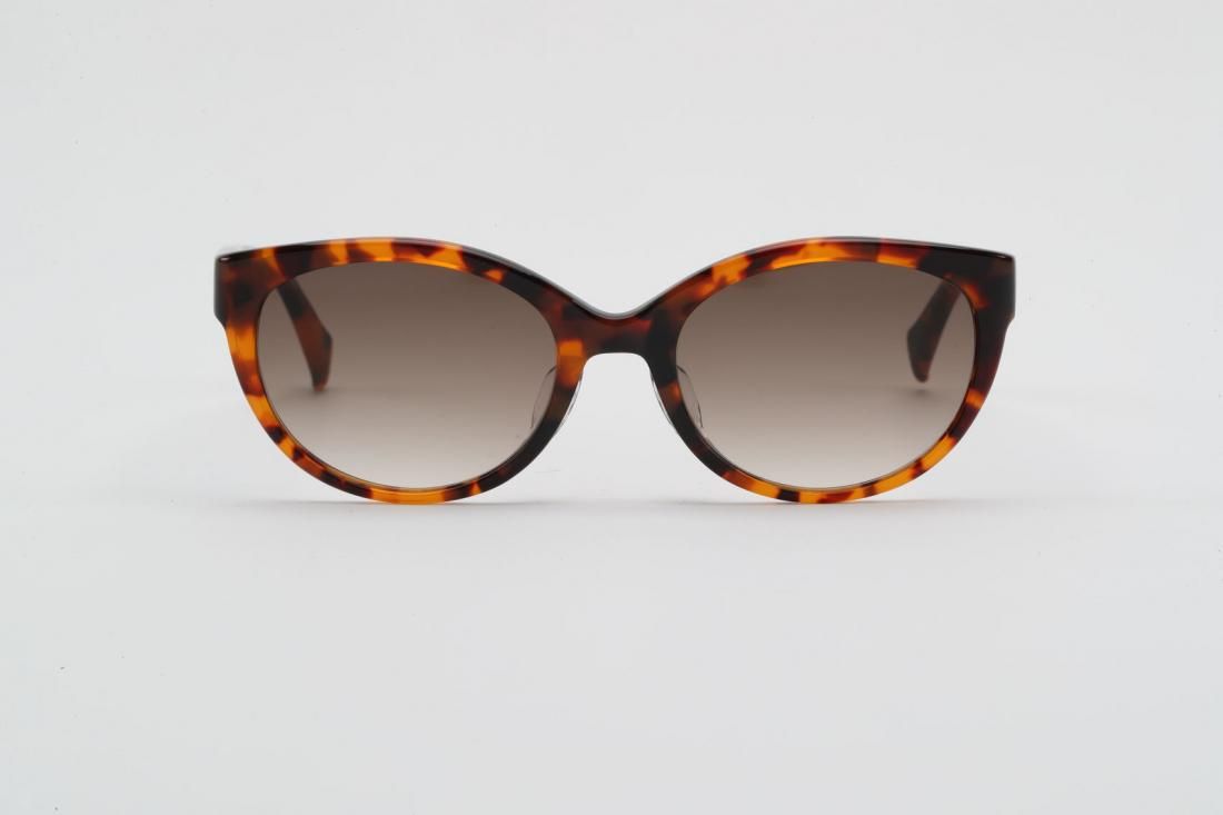 SambarAmberۡCharcoal gray gradationˡ2026ǯ2ͽ