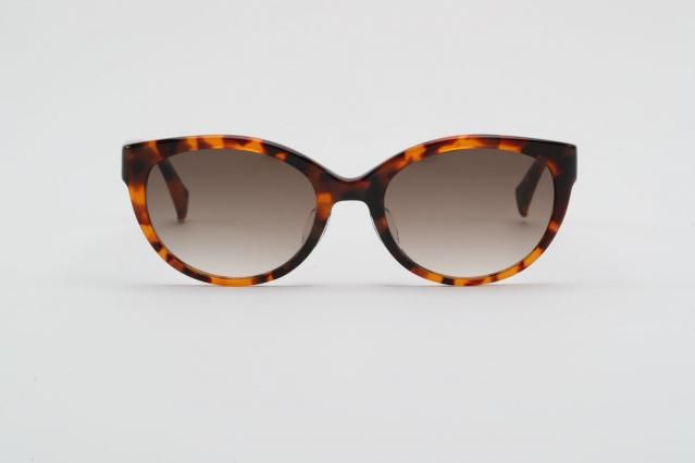 SambarAmberۡCharcoal gray gradationˡ2026ǯ2ͽ