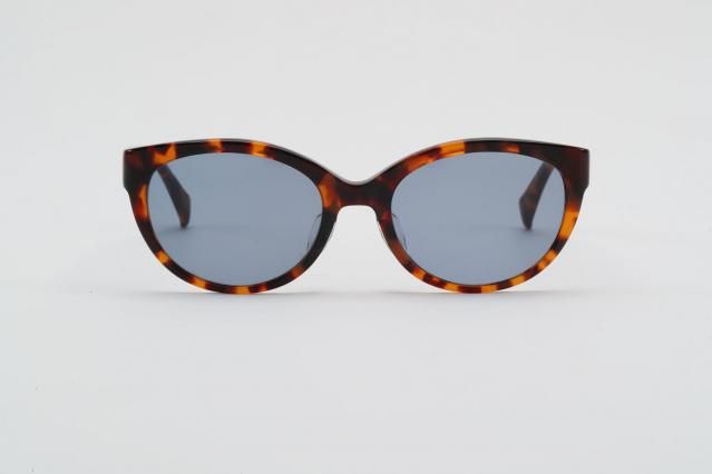 SambarAmberۡNavyˡ2026ǯ2ͽ