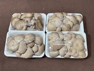 B֤ۤɤΤҤ餿 200g4ѥå_֤ɤ(ʡ縩ã)