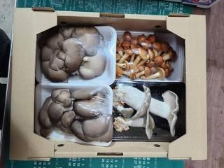 B֤ۤɤΤΤAå 200g4_֤ɤ(ʡ縩ã)