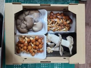 B֤ۤɤΤΤBå 200g4_֤ɤ(ʡ縩ã)