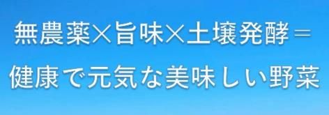 ̵����̵����✖��̣✖�ھ�ȯ�ڡ�򹯤Ǹ�������̣�������