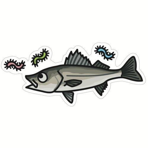 <img class='new_mark_img1' src='https://img.shop-pro.jp/img/new/icons1.gif' style='border:none;display:inline;margin:0px;padding:0px;width:auto;' />HISAO DESIGN Ҥǥ Хƥå