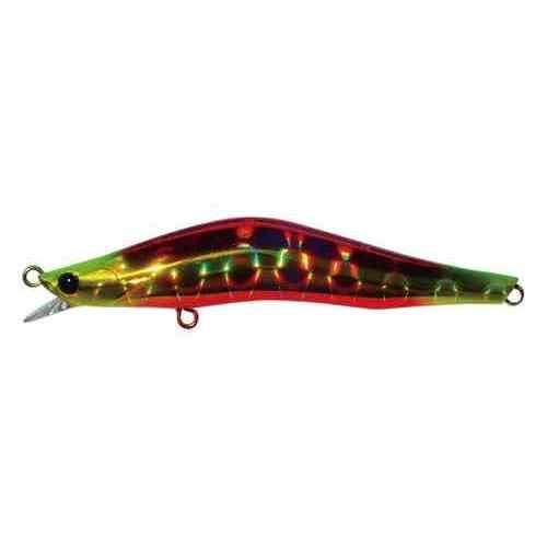 Blaze Eye ֥쥤 롼120F #005 ֥㡼ȹϡ