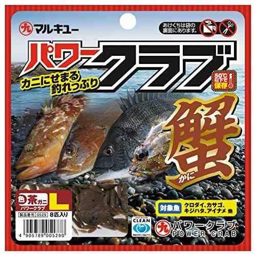 <img class='new_mark_img1' src='https://img.shop-pro.jp/img/new/icons1.gif' style='border:none;display:inline;margin:0px;padding:0px;width:auto;' />ECOGEAR  ѥ(L)㥬